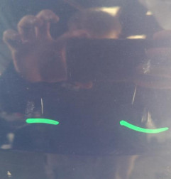 Porte arriere droit DACIA LOGAN MCV 1 Photo n°5