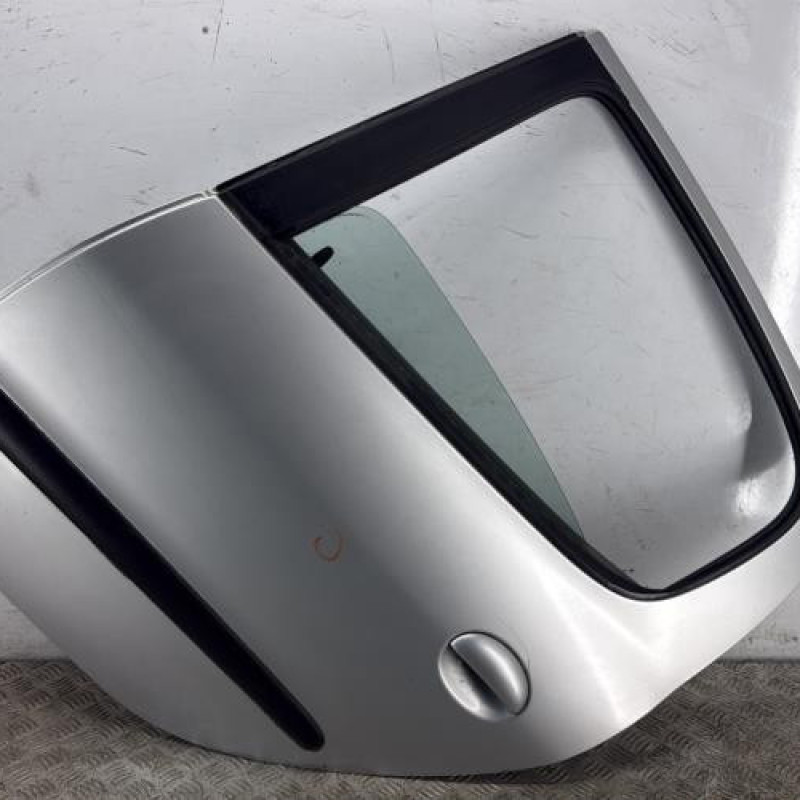 Porte arriere gauche PEUGEOT 206