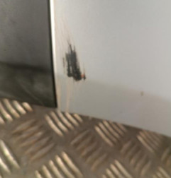 Pare choc arriere VOLKSWAGEN TOURAN 1 Photo n°6