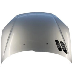 Capot PEUGEOT 206 Photo n°1