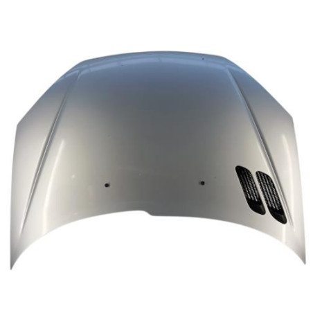 Capot PEUGEOT 206 Photo n°1