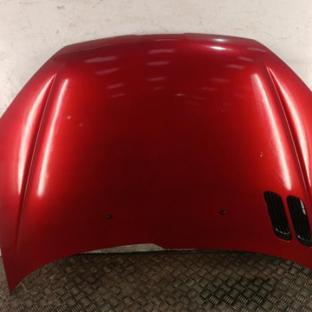 Capot PEUGEOT 206 Photo n°1