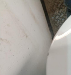 Malle/Hayon arriere DACIA SANDERO 2 Photo n°1