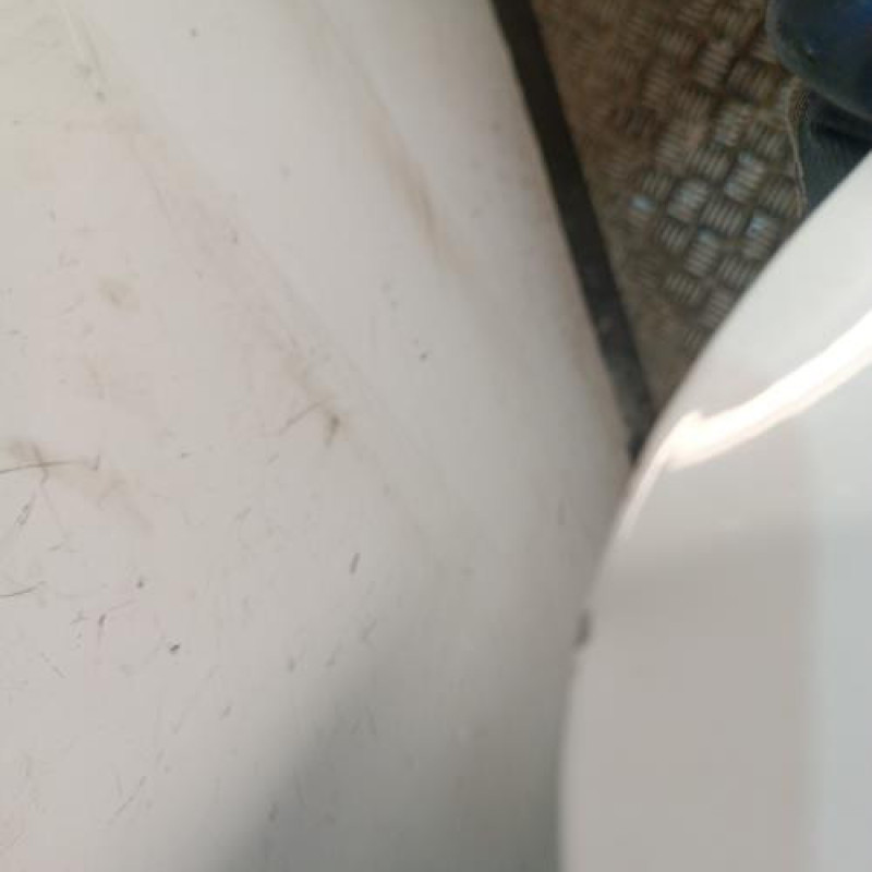 Malle/Hayon arriere DACIA SANDERO 2