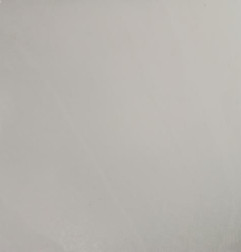 Porte arriere droit DACIA SANDERO 2 Photo n°3