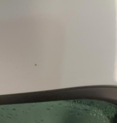 Porte arriere droit DACIA SANDERO 2 Photo n°4