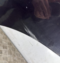 Porte arriere gauche NISSAN JUKE 1