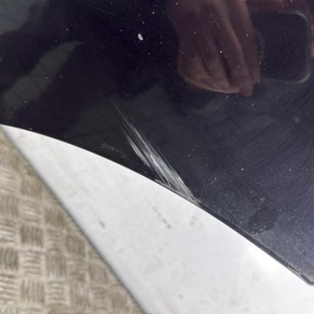 Porte arriere gauche NISSAN JUKE 1