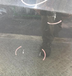 Porte avant gauche SEAT IBIZA 4 Photo n°3