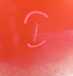 Porte arriere droit DACIA SANDERO 2