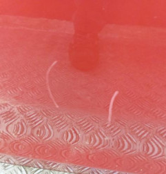 Porte avant droit DACIA SANDERO 2 Photo n°6