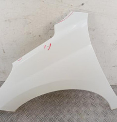 Aile avant gauche PEUGEOT 207 Photo n°1