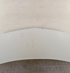 Capot RENAULT KANGOO 2 Photo n°1