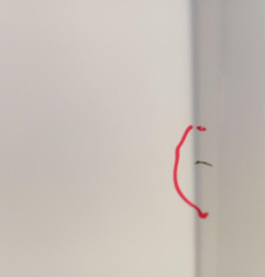 Porte laterale droit RENAULT KANGOO 2 Photo n°5