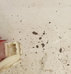 Feu arriere stop central RENAULT KANGOO 2 Photo n°3