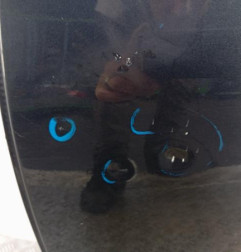 Porte arriere gauche CITROEN DS4