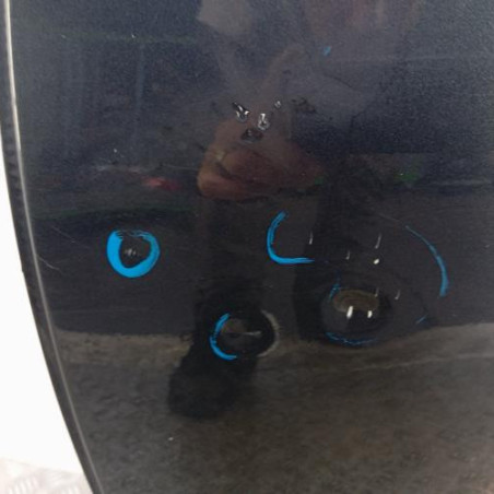 Porte arriere gauche CITROEN DS4