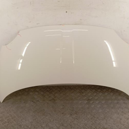 Capot FIAT 500 2 Photo n°1