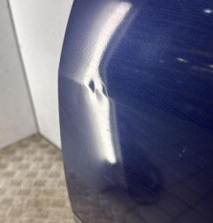 Porte arriere gauche RENAULT SCENIC 2