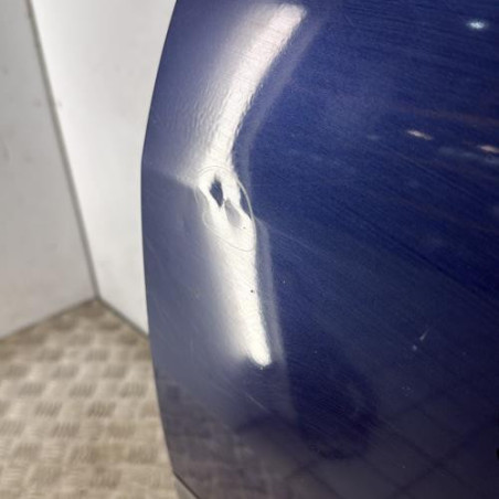 Porte arriere gauche RENAULT SCENIC 2