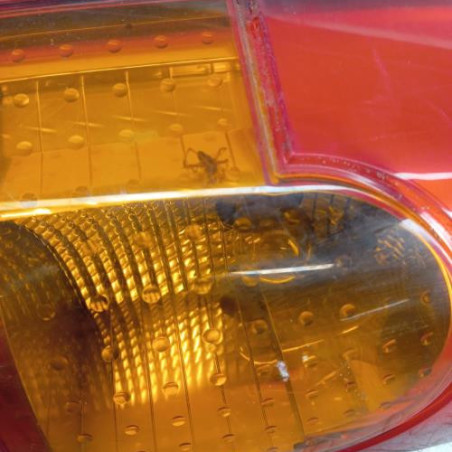 Feu arriere principal gauche (feux) RENAULT KANGOO 1