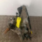 Boite de vitesses HONDA JAZZ 2