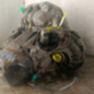 Boite de vitesses NISSAN MICRA 3
