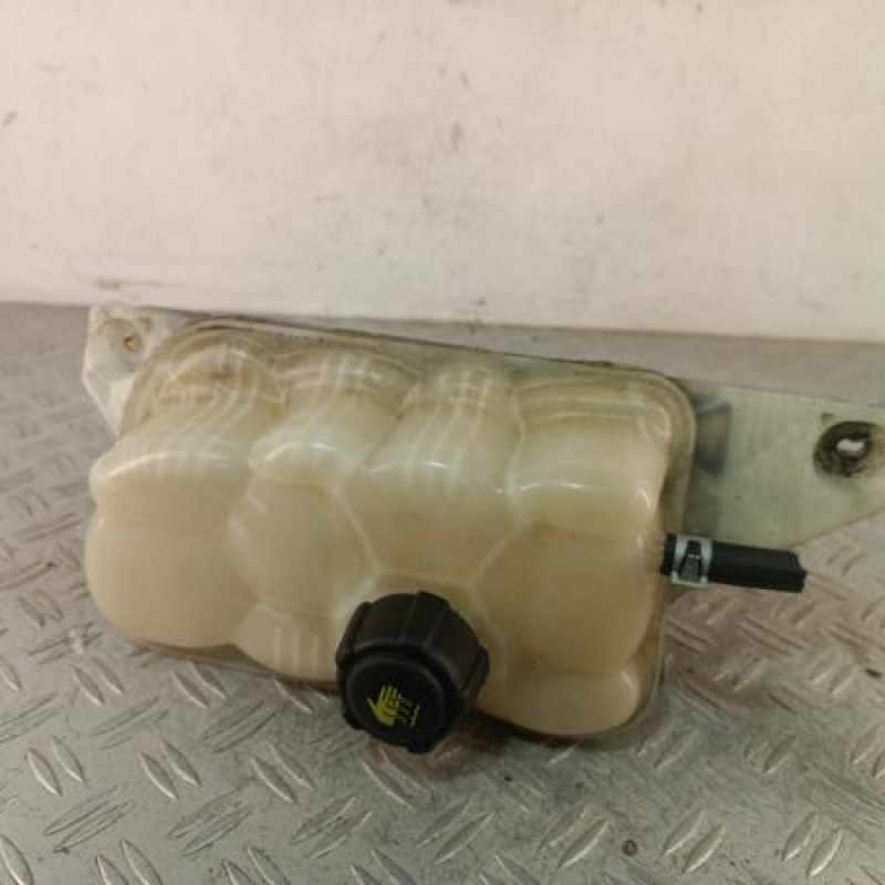 Vase d'expansion NISSAN JUKE 1