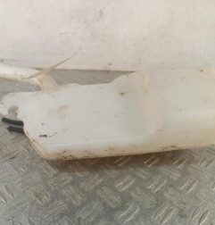 Vase de lave glace RENAULT ZOE 1