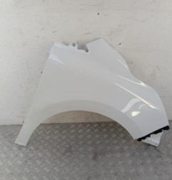 Aile avant droit RENAULT KANGOO 3 Photo n°1