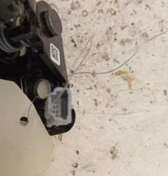 Attache ceinture arriere droit RENAULT KANGOO 3 Photo n°3