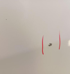 Porte avant gauche RENAULT TRAFIC 3 Photo n°4