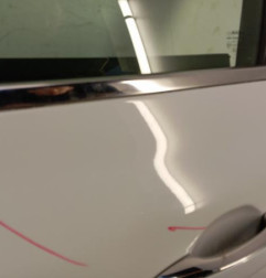 Porte avant gauche RENAULT MEGANE 4 Photo n°3