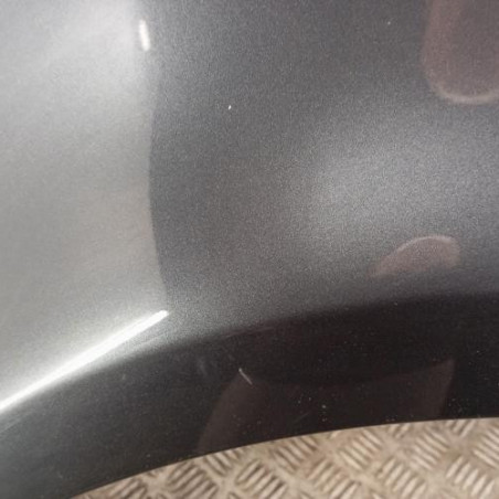 Aile avant gauche RENAULT CLIO 3