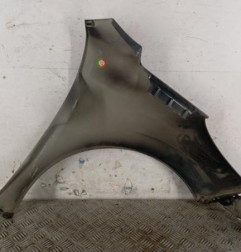Aile avant gauche PEUGEOT 207 Photo n°5