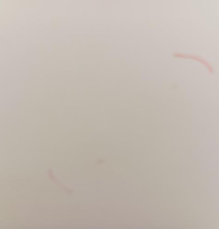 Porte avant gauche CITROEN C2 Photo n°3