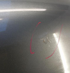 Capot PEUGEOT 406 Photo n°3