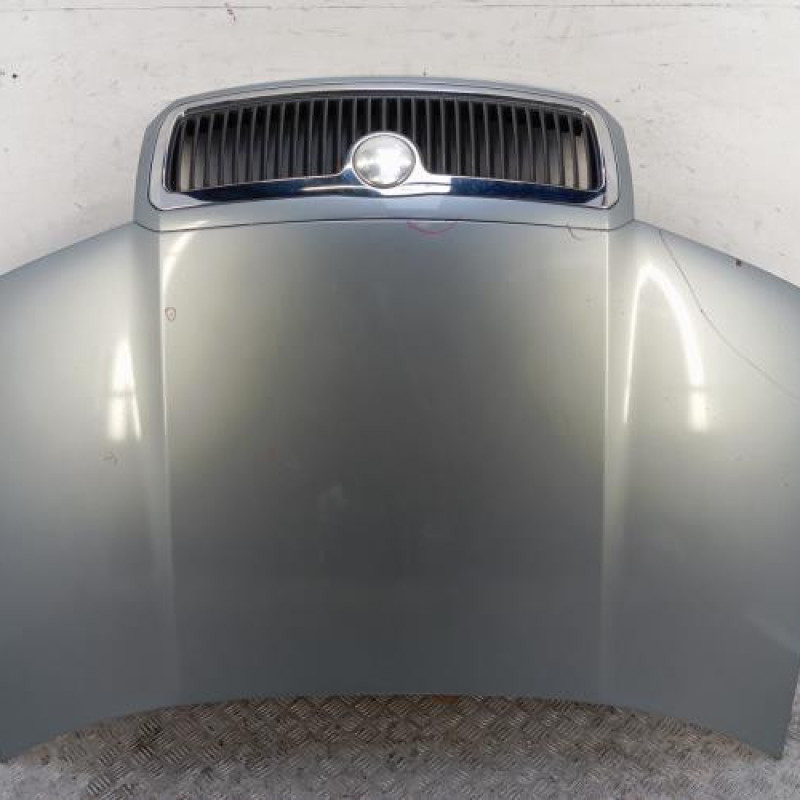 Capot SKODA FABIA 1