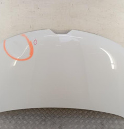 Capot RENAULT KANGOO 3 Photo n°1