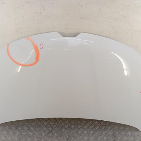 Capot RENAULT KANGOO 3 Photo n°1