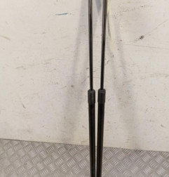 Verin de coffre RENAULT KANGOO 3 Photo n°1