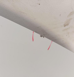 Capot DACIA SANDERO 3