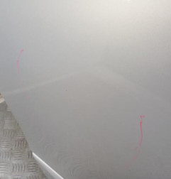 Porte arriere droit RENAULT SCENIC 3 Photo n°4