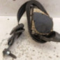 Ceinture avant gauche CITROEN C3 1