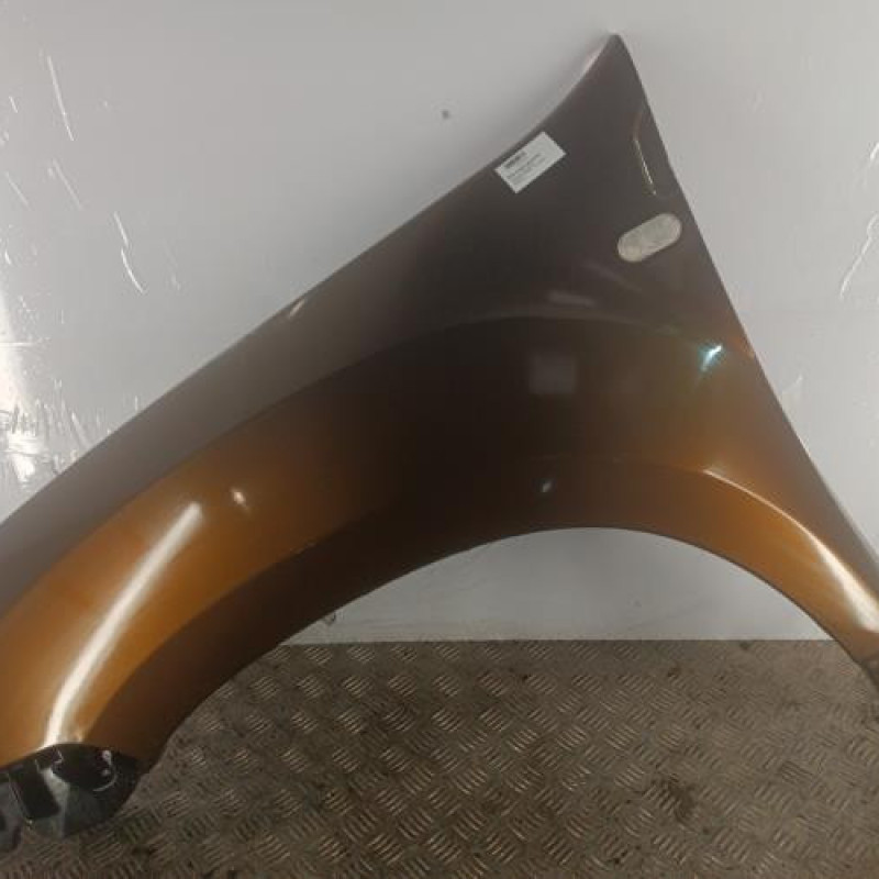 Aile avant gauche DACIA DUSTER 1