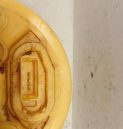 Pompe de gavage PEUGEOT 307 Photo n°3