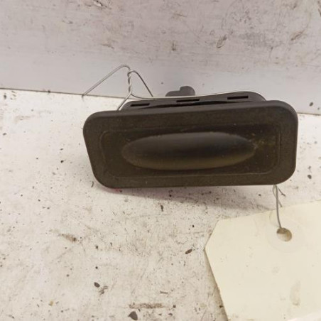 Poignee hayon RENAULT KANGOO 3 Photo n°1