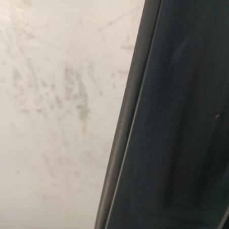 Porte arriere gauche KIA CARENS 4