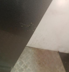 Porte avant gauche KIA CARENS 4 Photo n°6