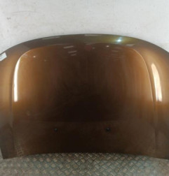 Capot DACIA DUSTER 1 Photo n°1